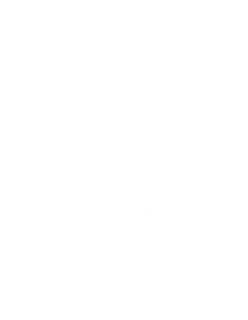 Logo Palazzo ReSilente